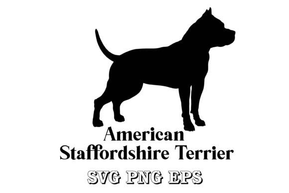 American Staffordshire Terrier Vector