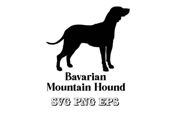 Bavarian Mountain Hound