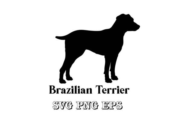 Brazilian Terrier Dog Silhouette