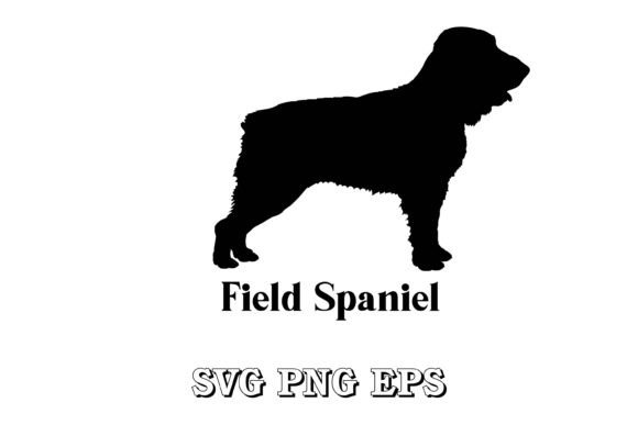 Field Spaniel
