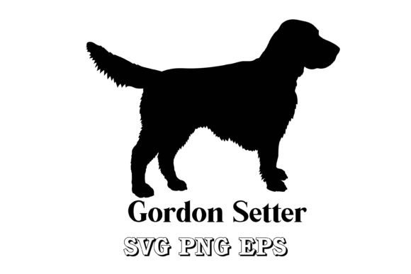 Gordon Setter