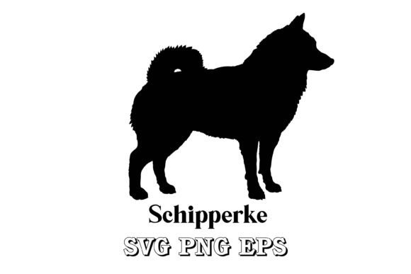 Schipperke Silhouette Dog Breed