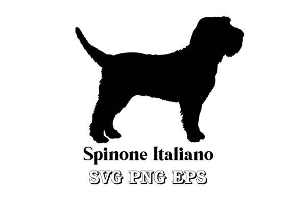 Spinone Italiano Silhouette Dog